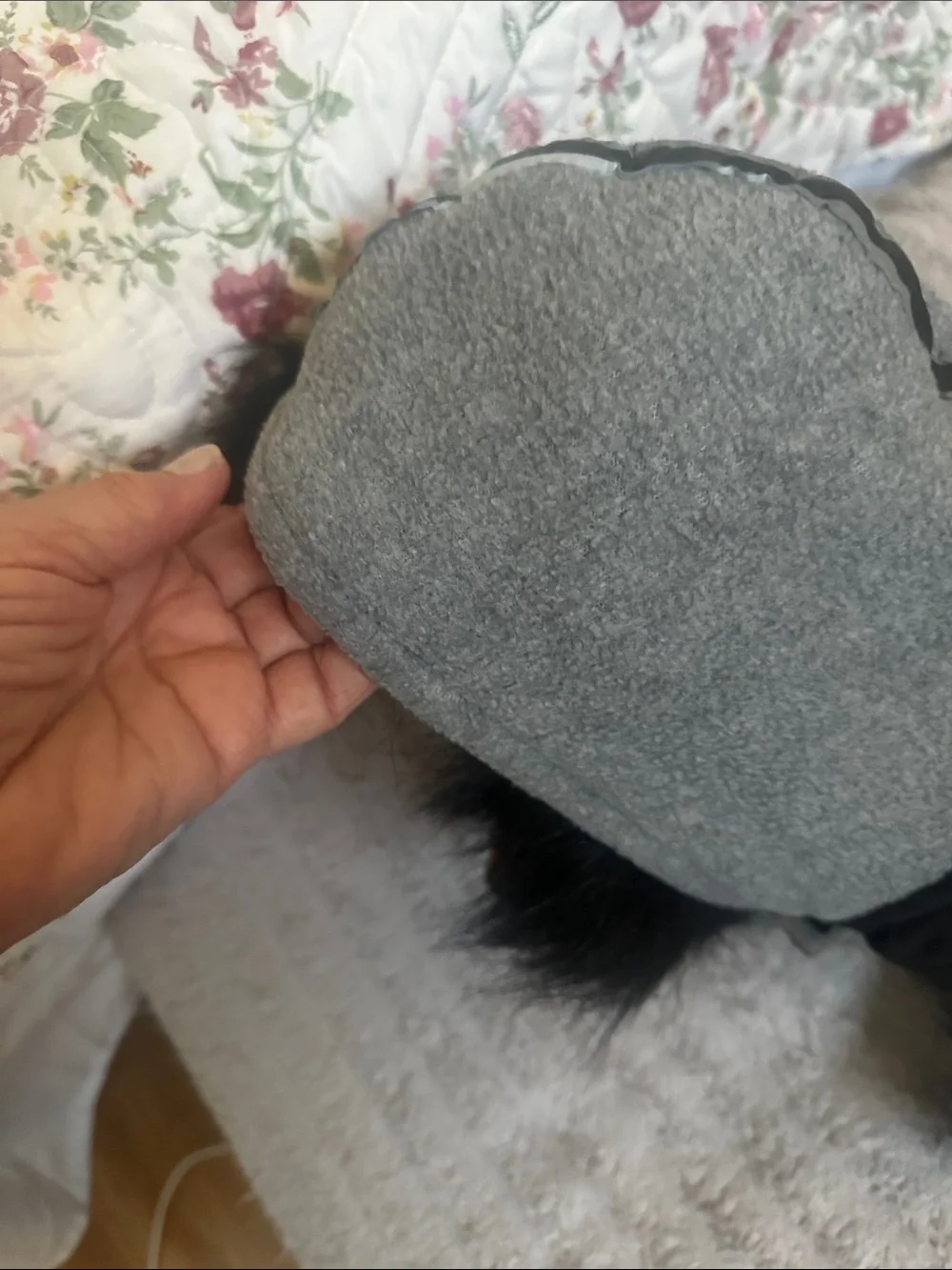Dogs Quilted Black Hooded Jacket